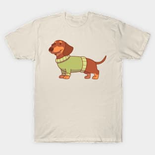 Chocolate & tan dachshund wearing a green sweater T-Shirt